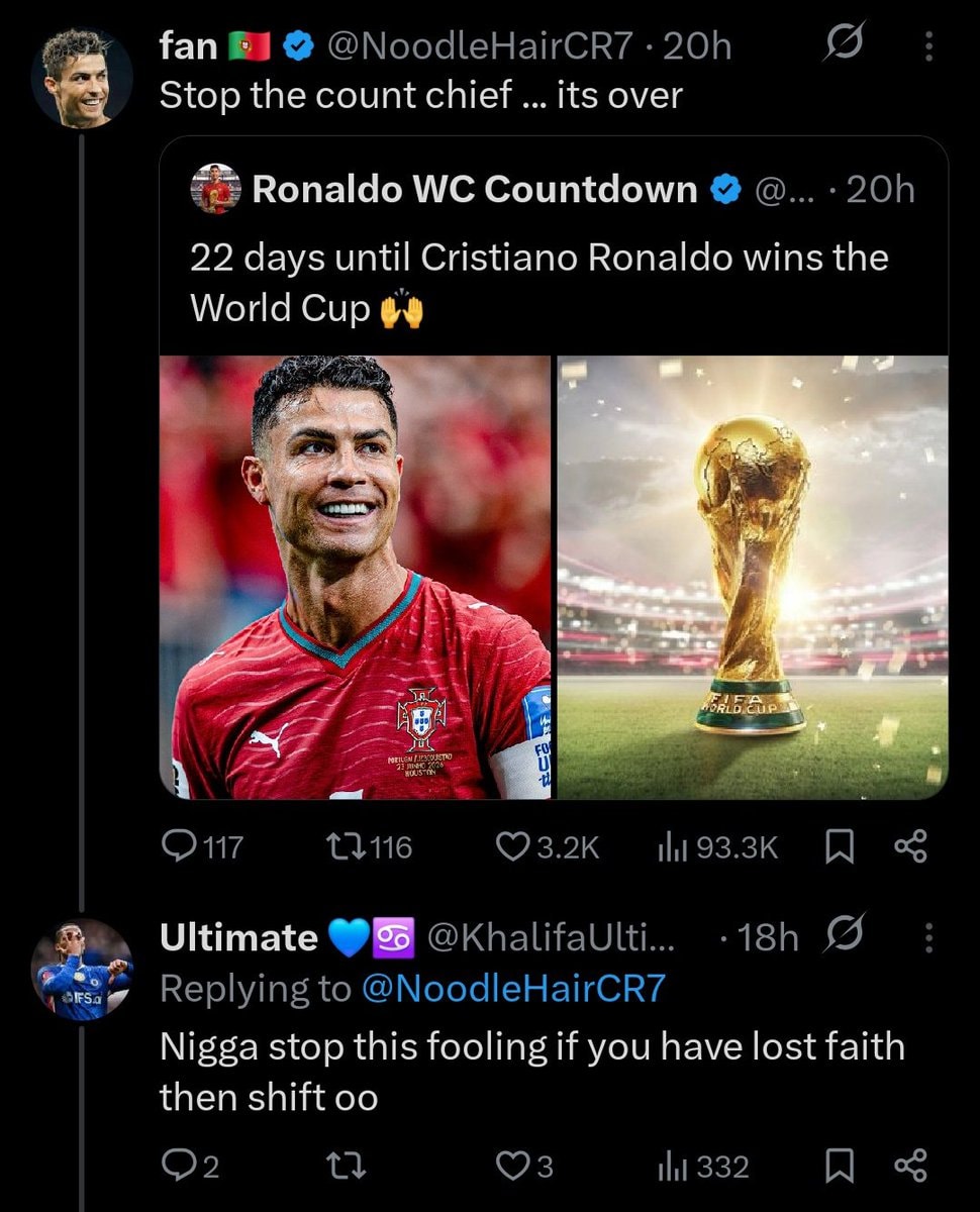 Portugal fan dilemma (photo 4 of 4)
