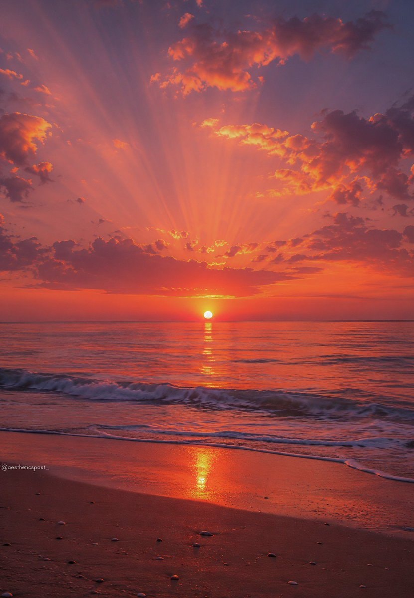 beach sunset aesthetic