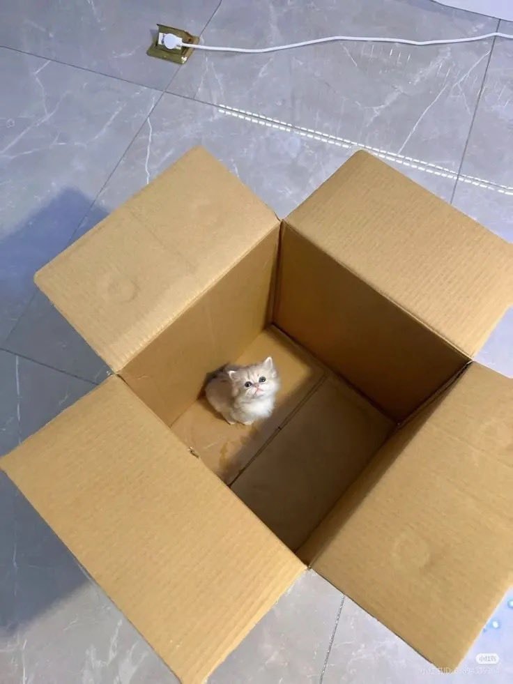 brown cardboard box on marble floor (photo 2 of 2)