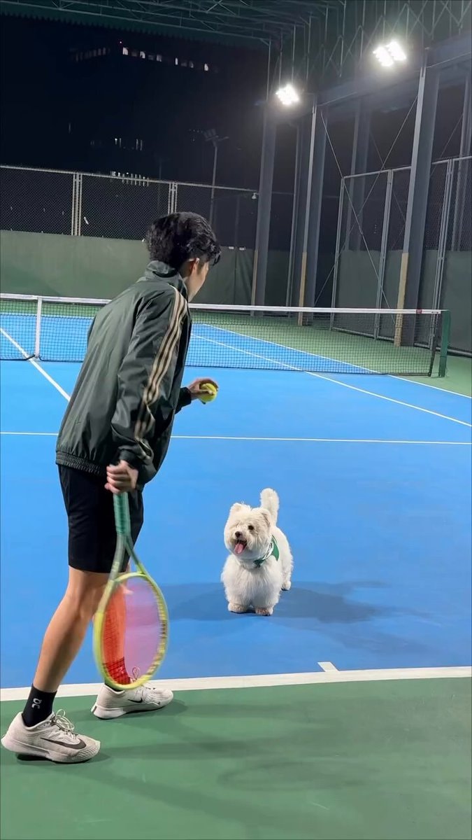 Tennis court dog friend