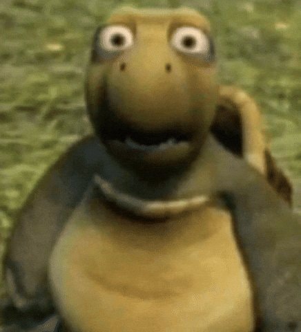Cartoon turtle shocked reaction