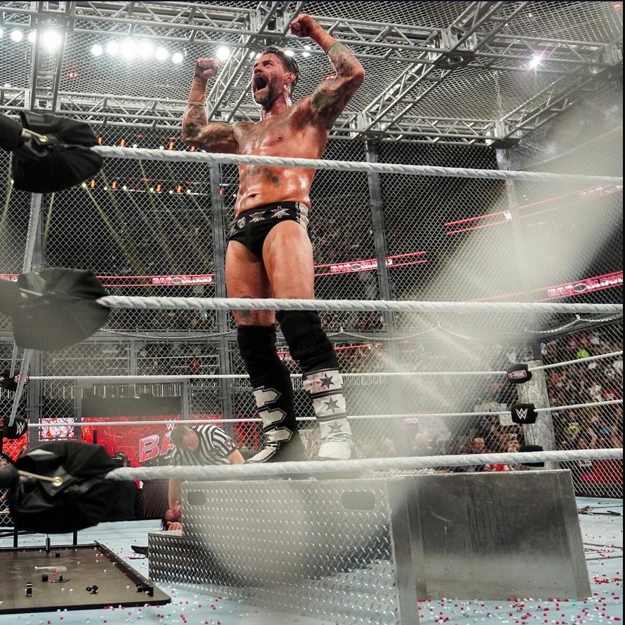 CM Punk vs Drew McIntyre Hell in a Cell (photo 4 of 4)