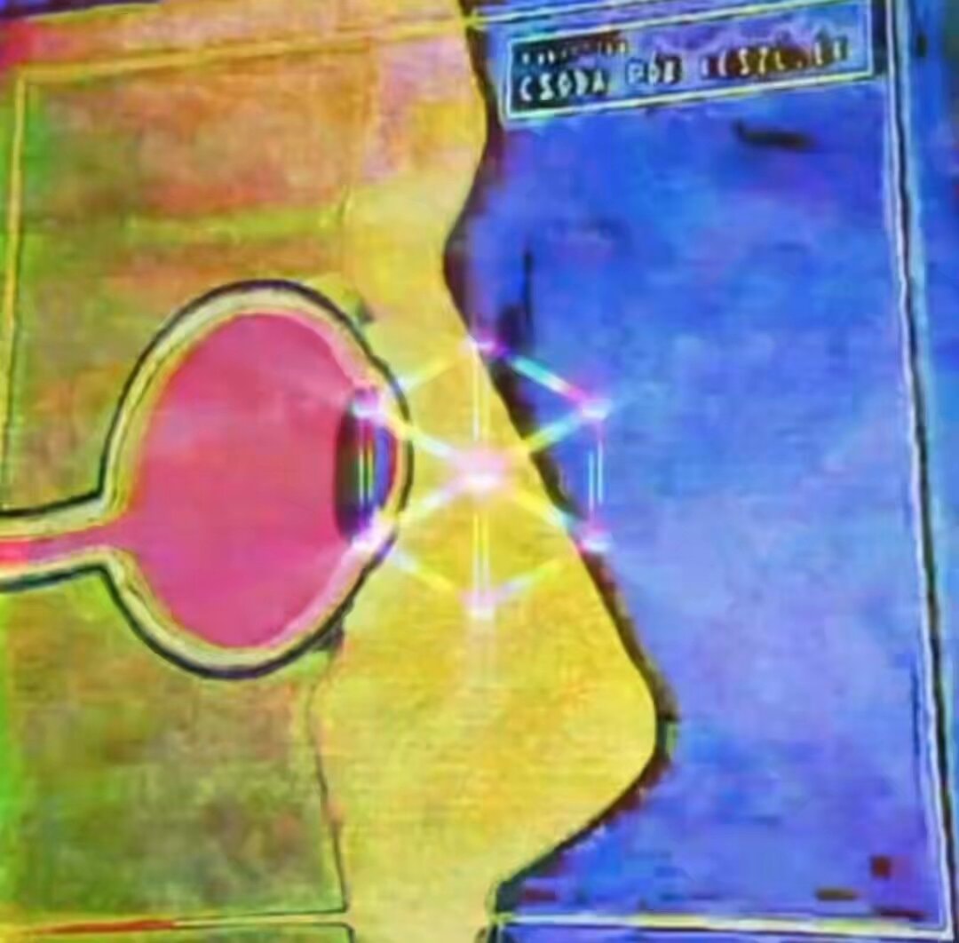CSODA POR ESTILIT brain adaptation