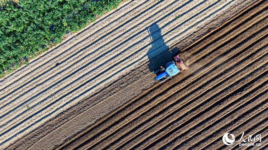 Jiangxi Chaisang district autumn farming (photo 3 of 4)