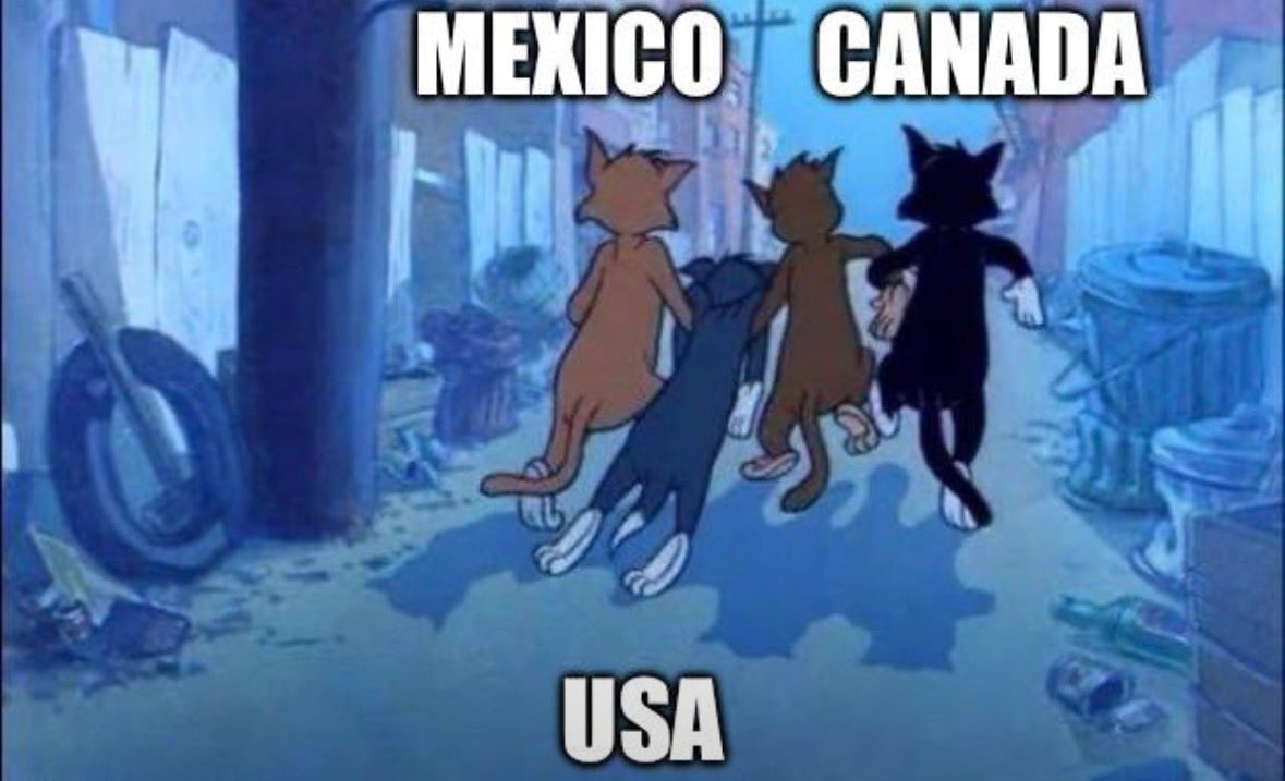 Mexico Canada USA cats meme Mexico Canada USA cats meme