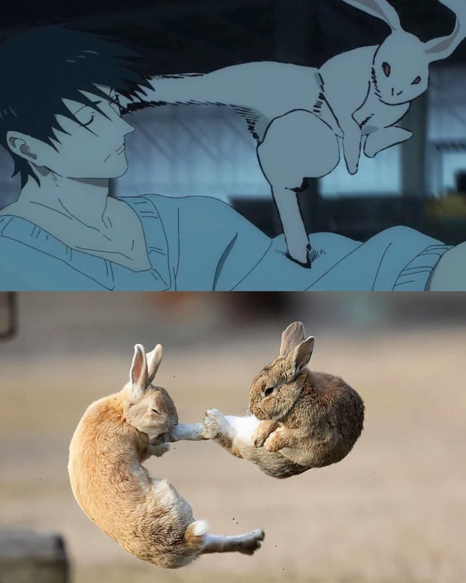 same energy meme