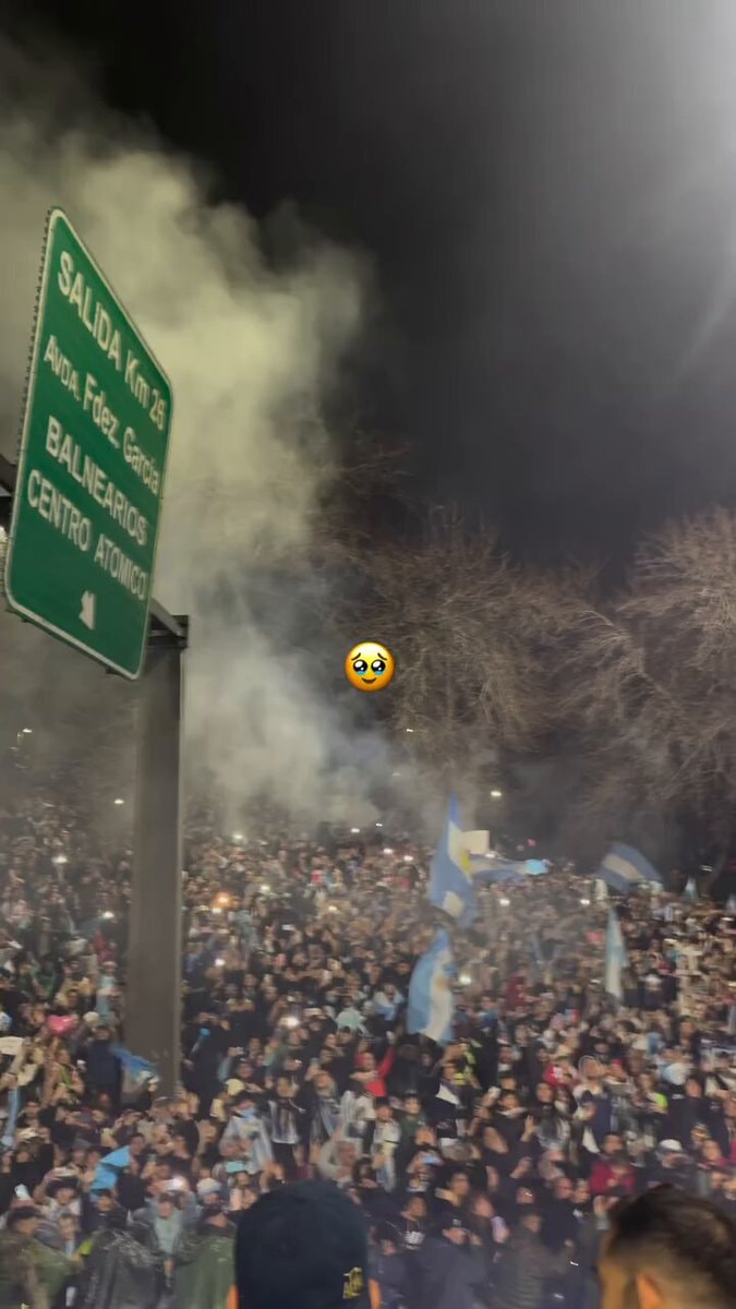 Argentina fans welcome team after World Cup runner-up