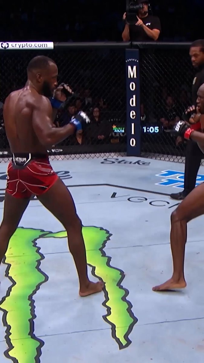 Leon Edwards knockout head kick