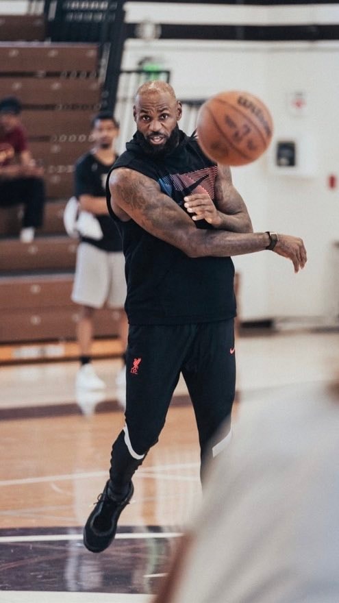 LeBron James gym training