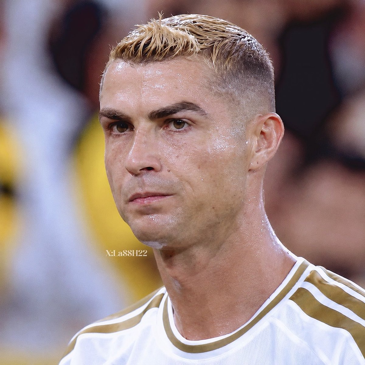 Ronaldo Al Nassr final season