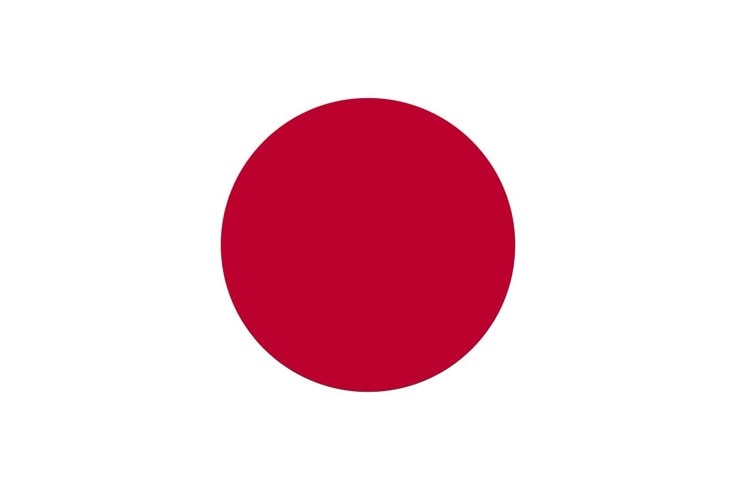 Japan FIFA World Cup history (photo 2 of 2)