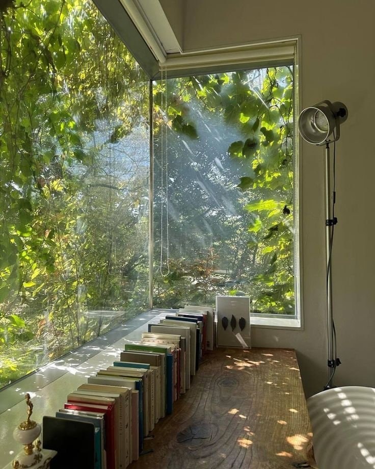 serene desk with books