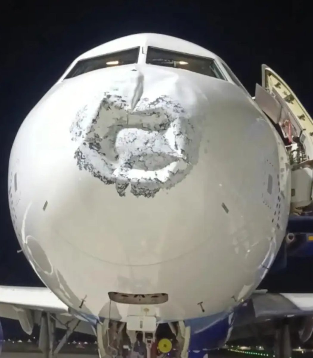 IndiGo plane lightning strike damage