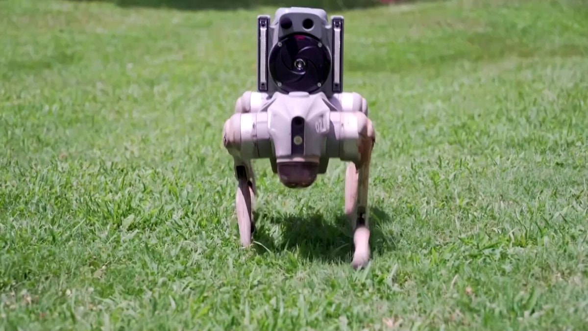 Undaunted robotic dog security
