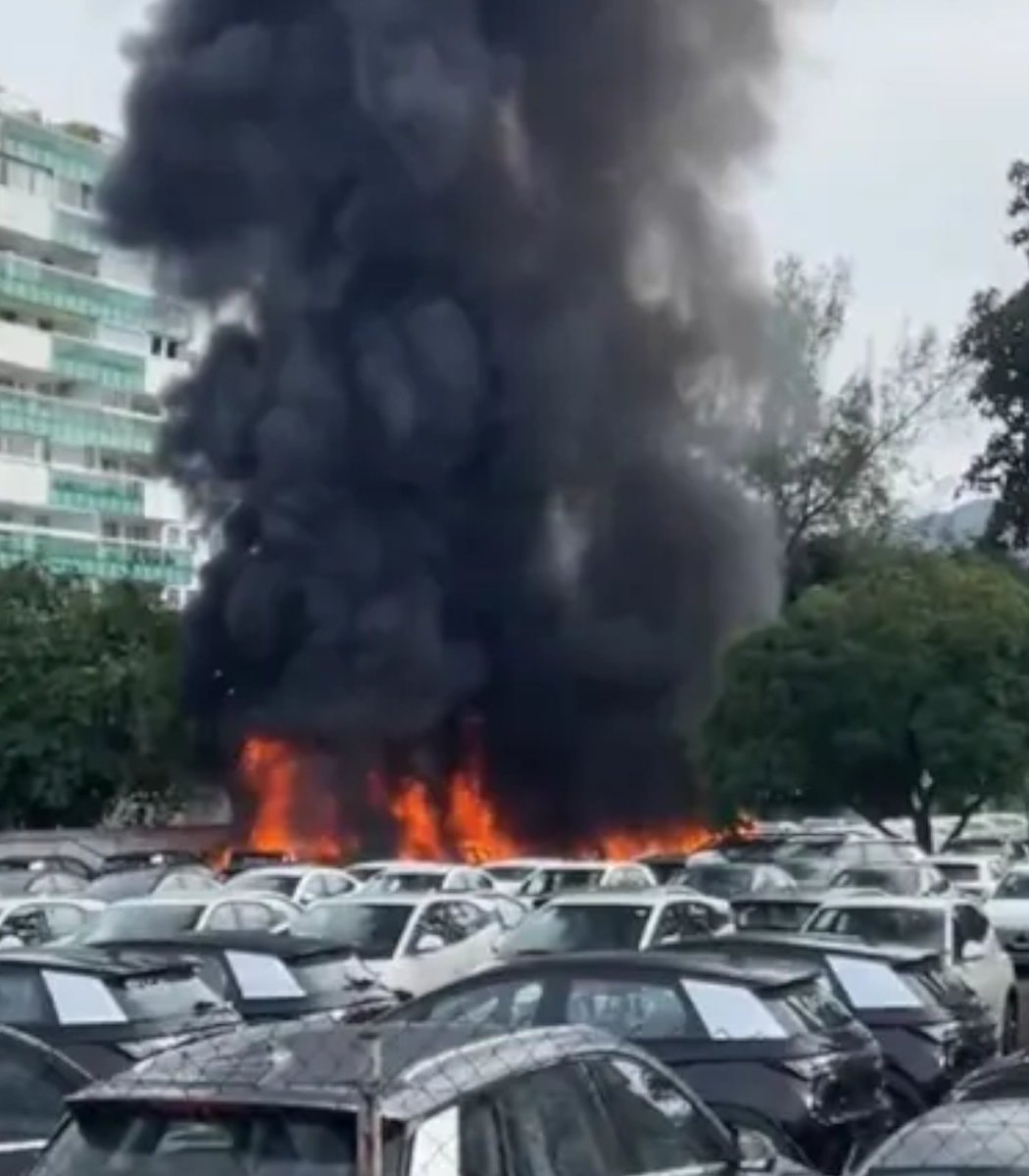 Oliver Tree helicopter crash (photo 2 of 2)