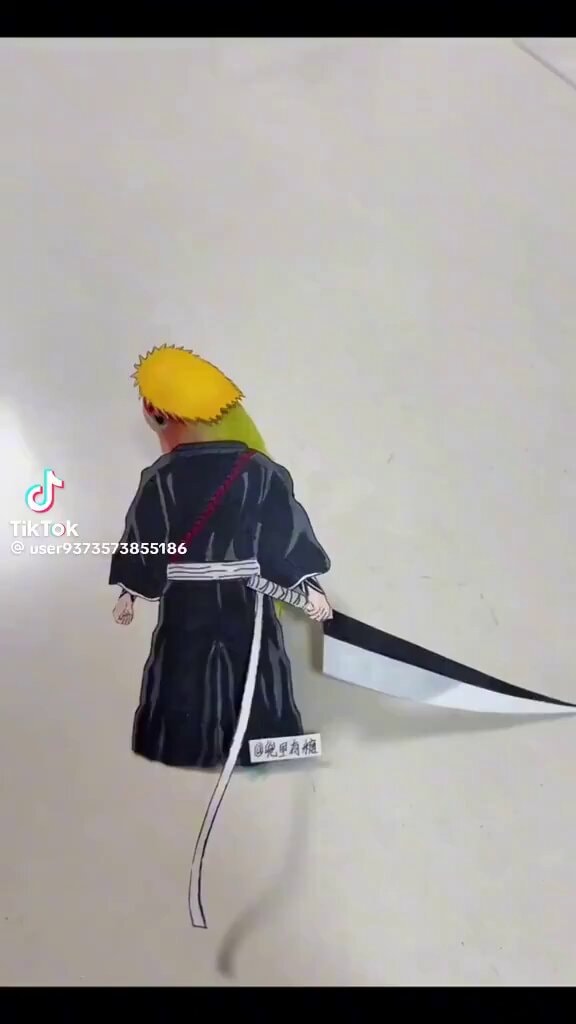 Bleach bird Ichigo cosplay
