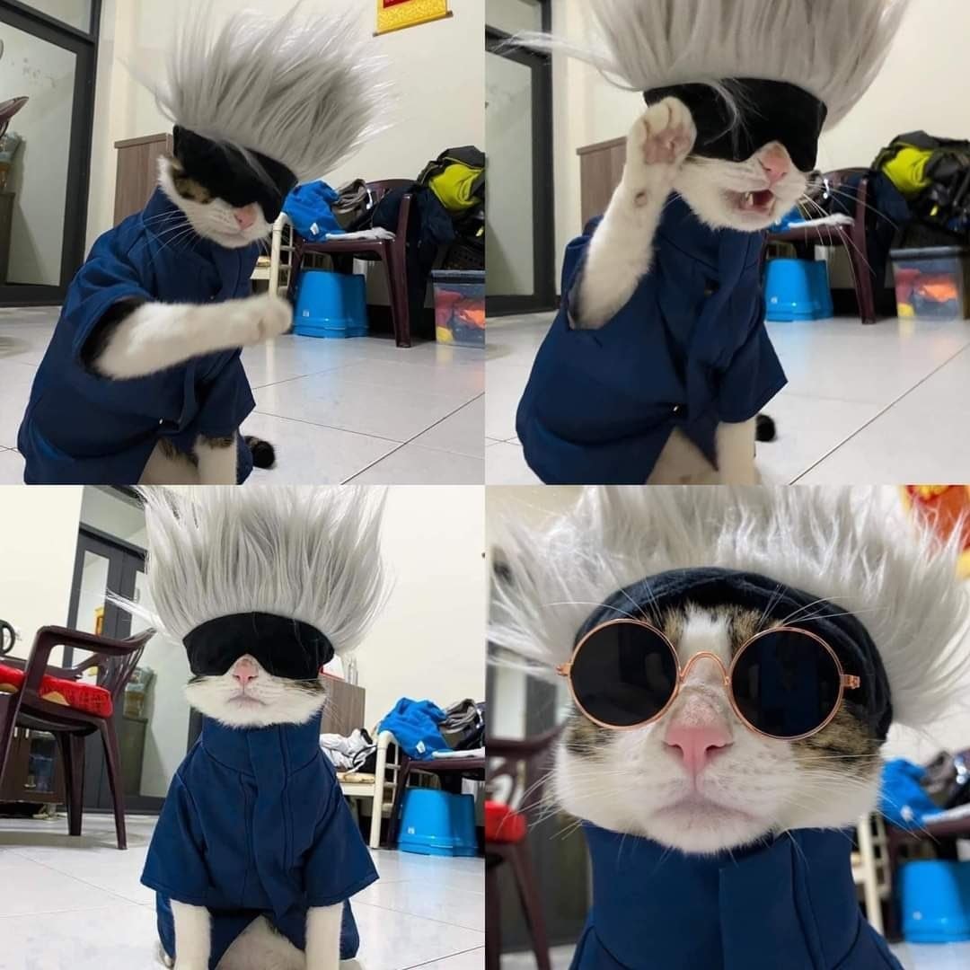 Gojo Catoru Jujutsu Kaisen cosplay