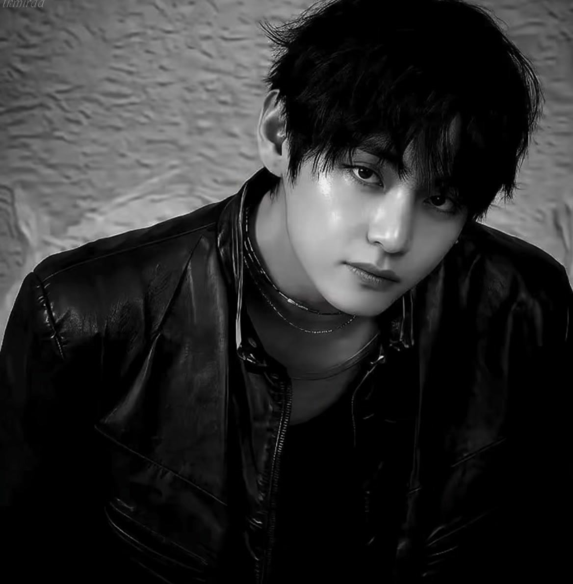 V thmirda portrait