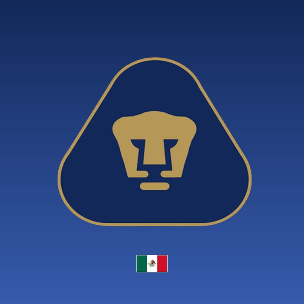 Juninho Pumas Mexican Apertura stats (photo 2 of 2)