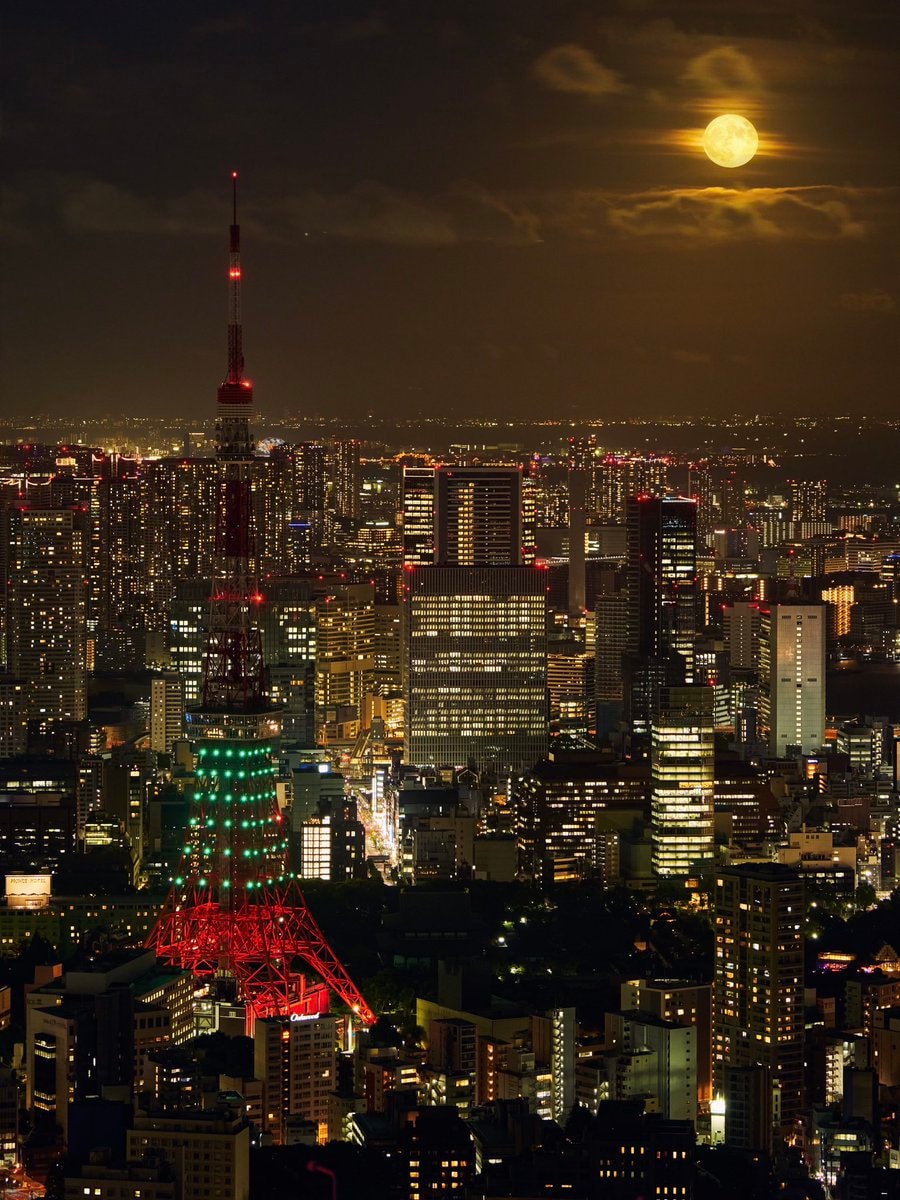 Tokyo under full moon