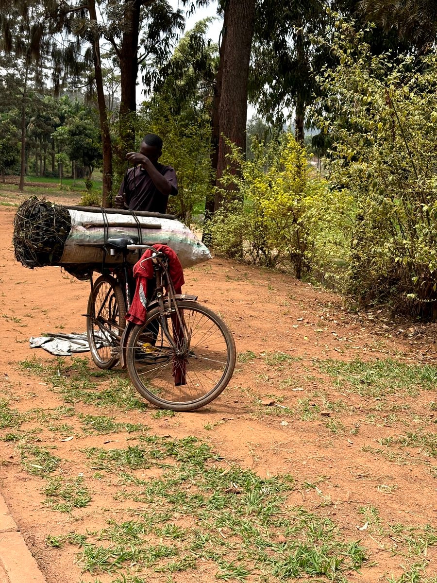 charcoal transport by bicycle