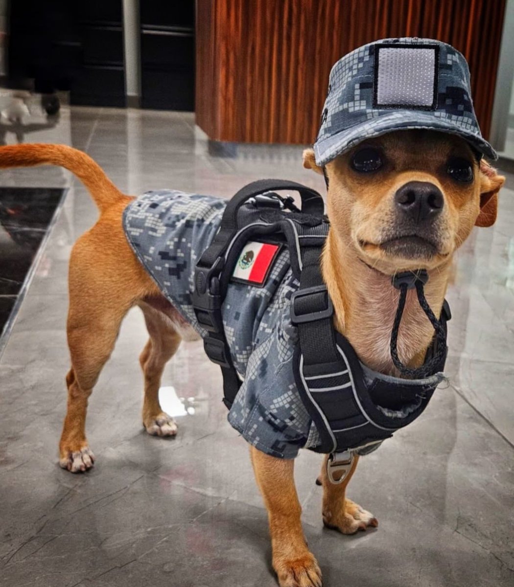 Chihuahua Comando National Guard recruit Chihuahua Comando National Guard recruit