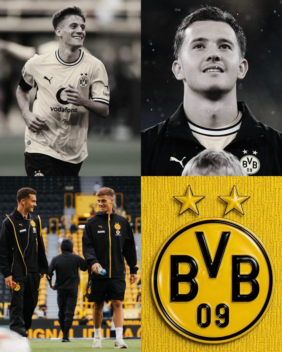 Borussia Dortmund injured signings