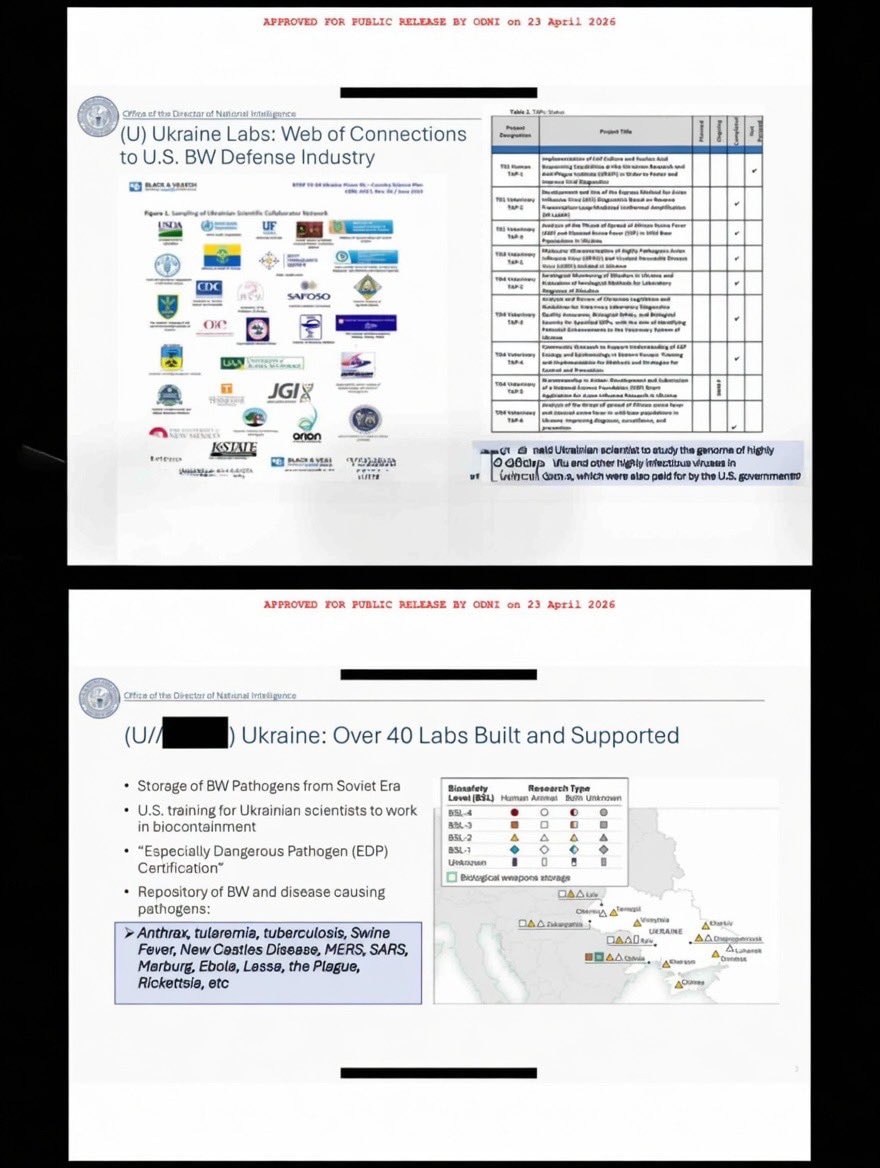 Tulsi Gabbard releasing list of U.S.-funded labs in Ukraine (photo 2 of 2)