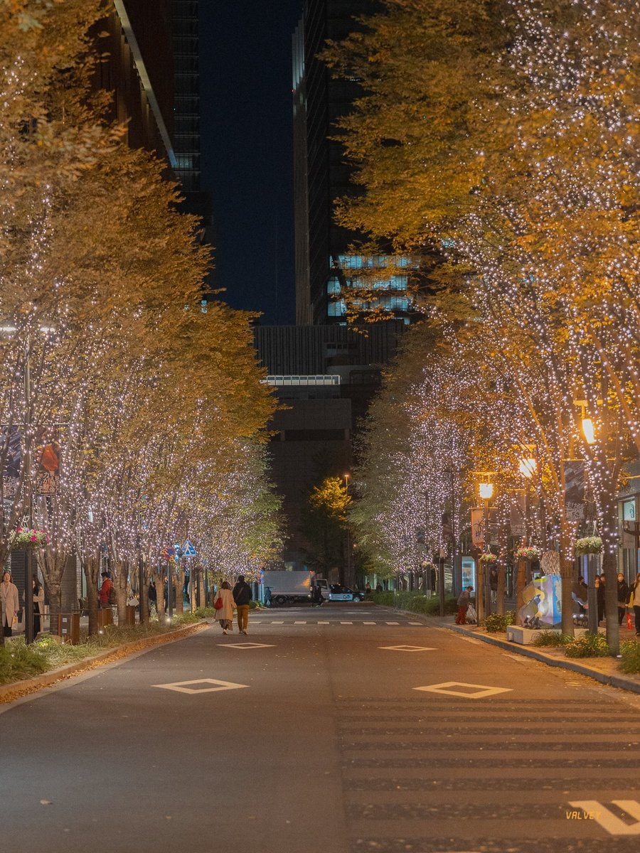 Tokyo Japan night scene (photo 2 of 3)