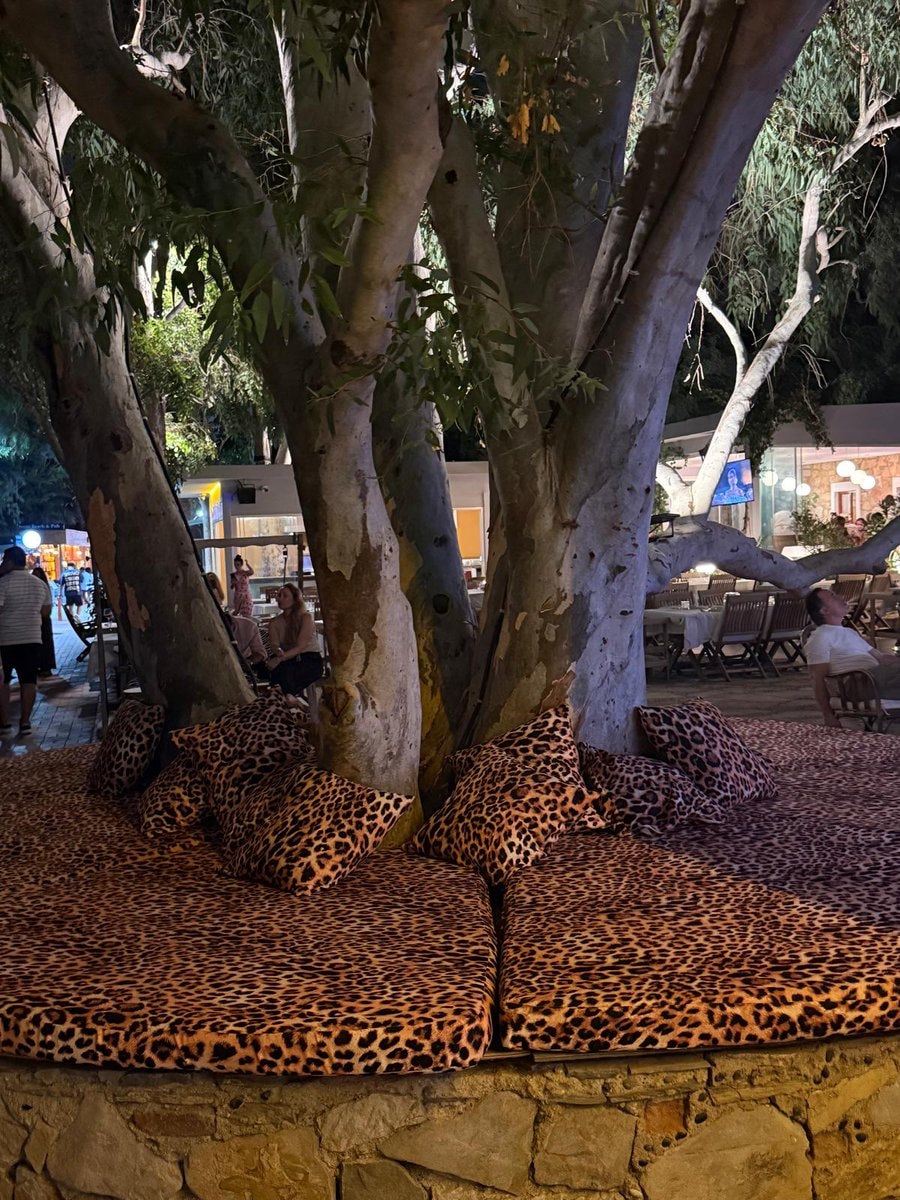 nighttime rest area
