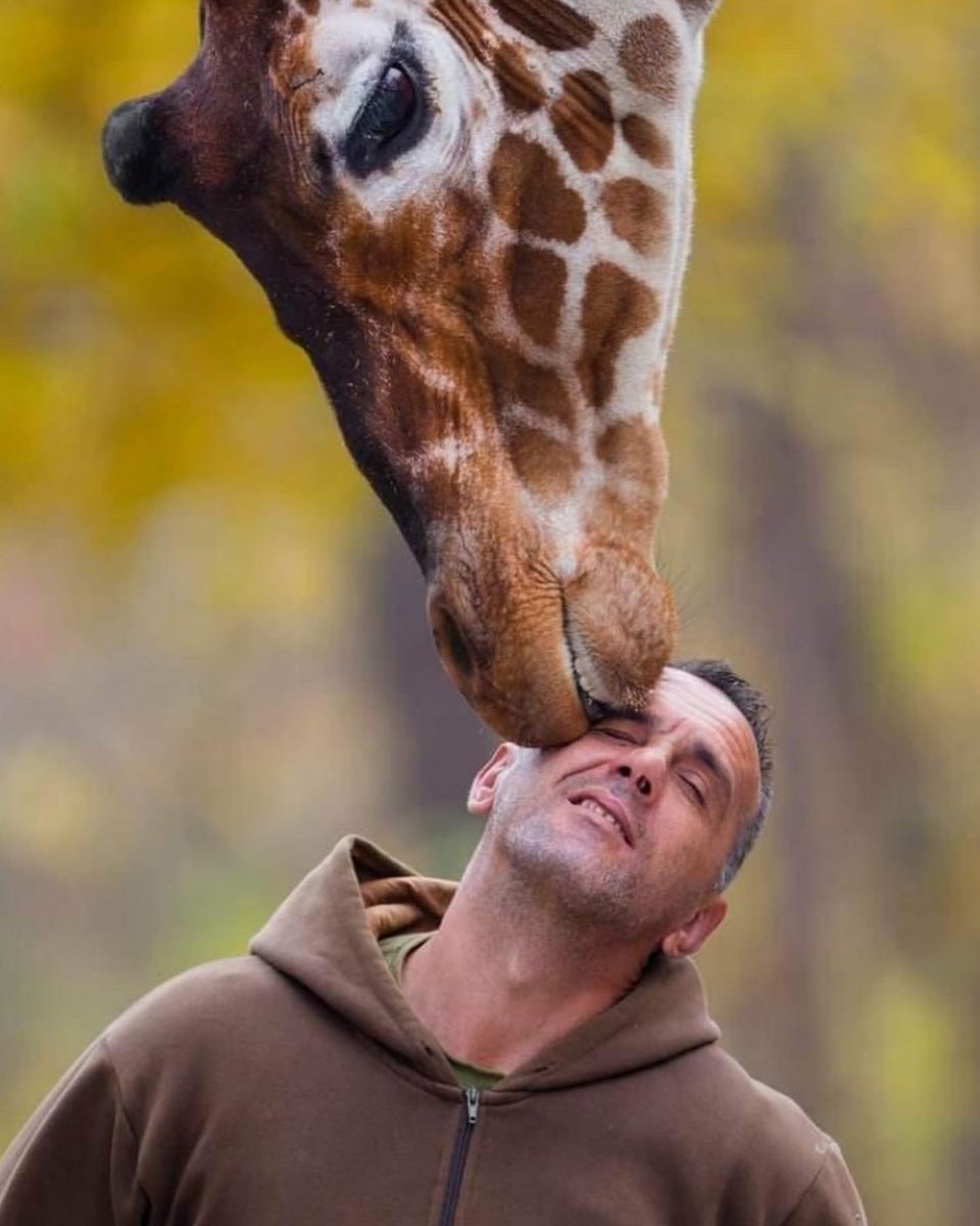Riste Trajkovski and Floppy the giraffe (photo 2 of 2)