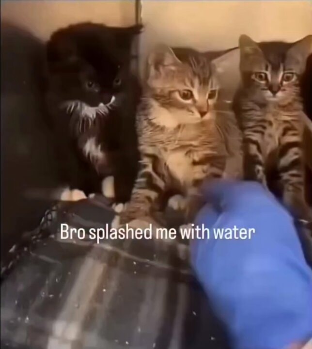 Splashing water to scare someone away