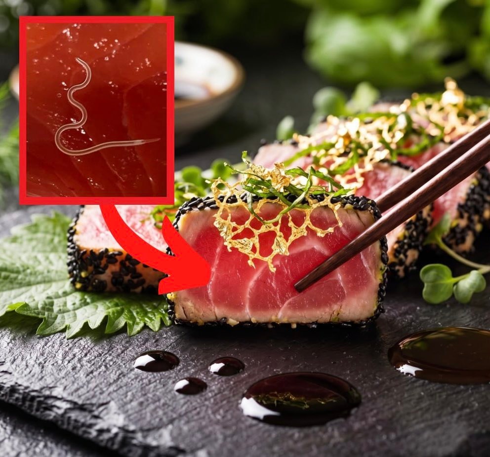 parasitic worms in sushi-grade tuna