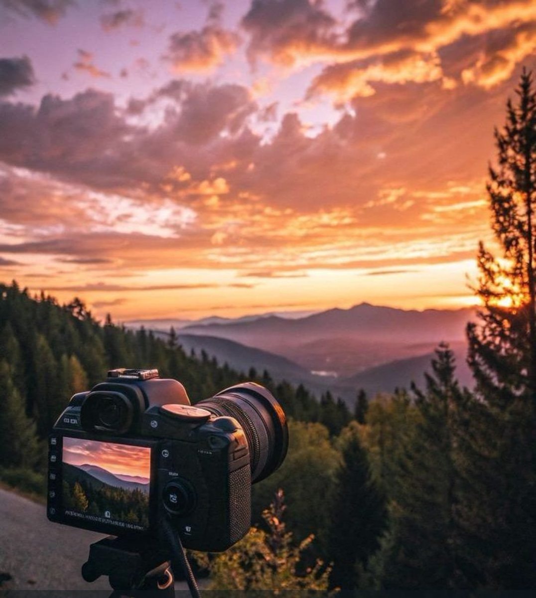 Nature's Symphony