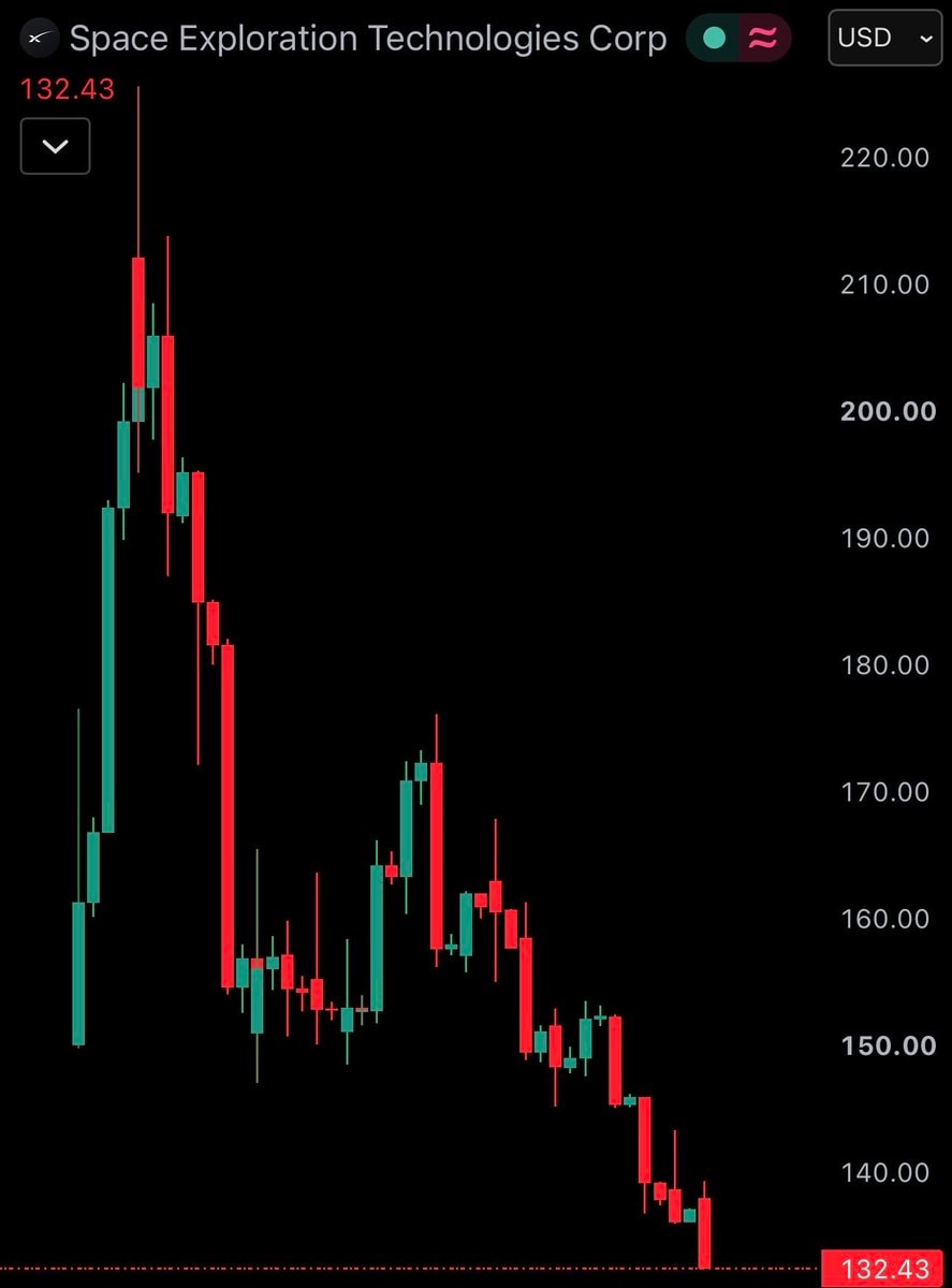 SpaceX stock post-IPO low $135