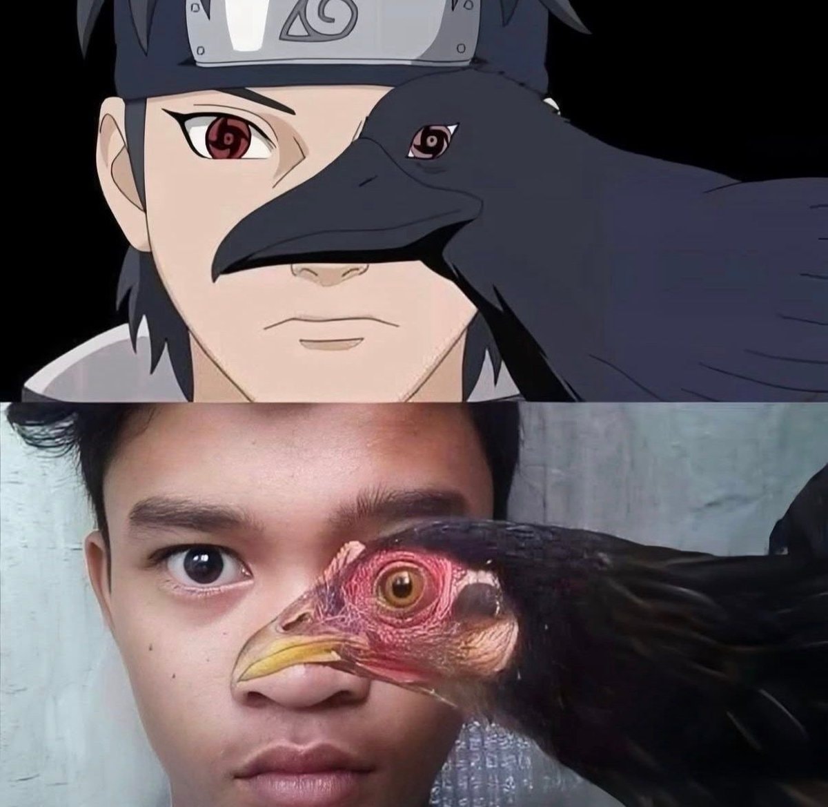 Anime bird vs chicken head meme
