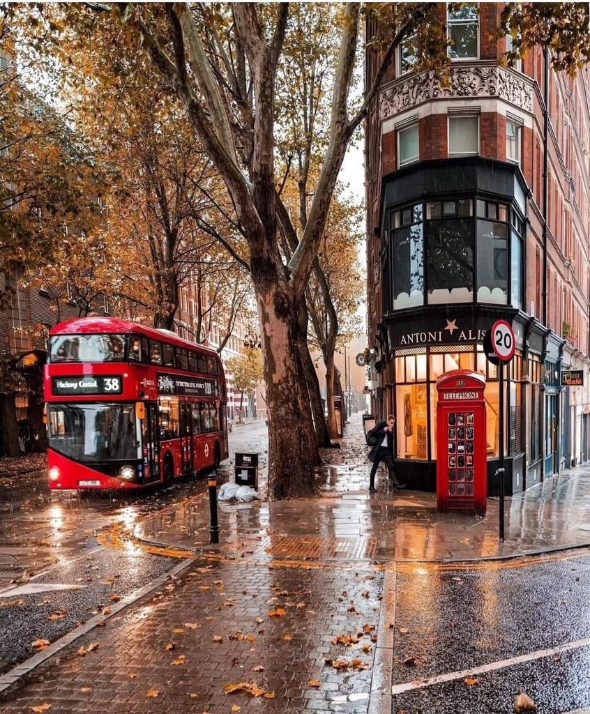 London autumn street scene
