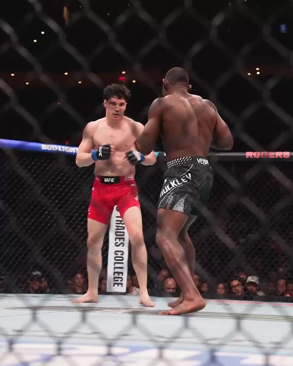 UFC fighters face off in the octagon