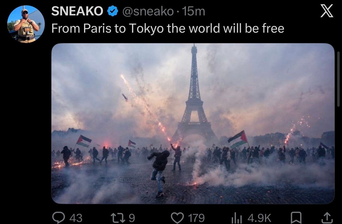 Sneako France protests