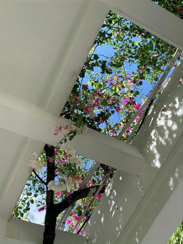 Flower shaped window pink blossoms view (photo 2 of 2)