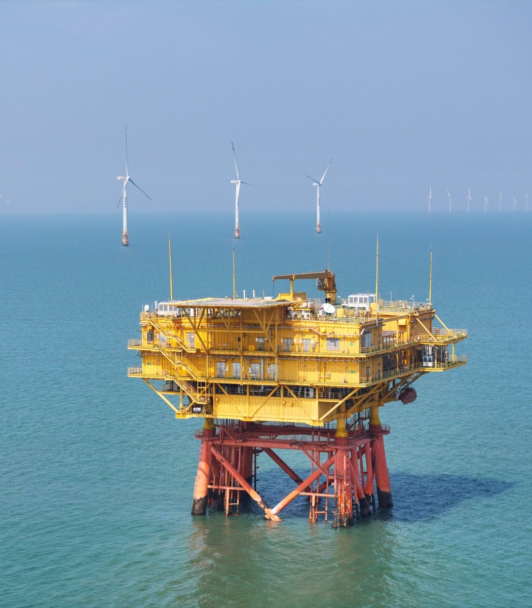Offshore wind farm marine habitat (photo 2 of 2)