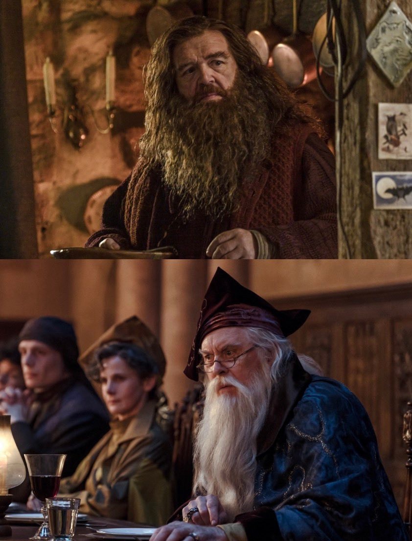 Hagrid and Dumbledore Harry Potter visuals