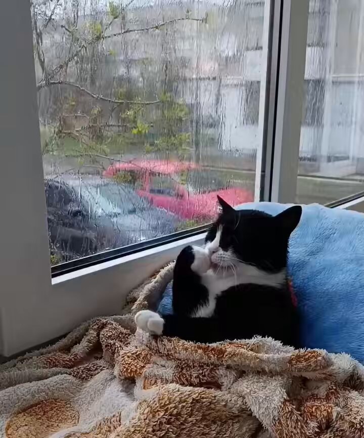 man enjoying weather