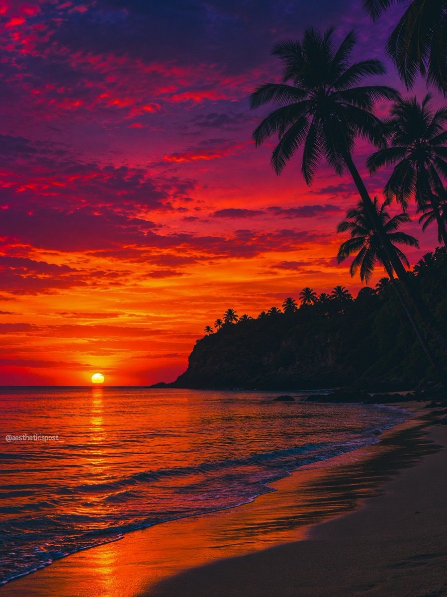 tropical beach sunset with palm silhouettes