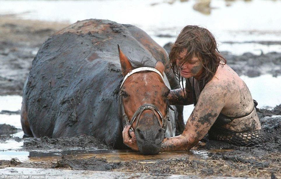 Nicole Graham saves horse Astro from mud