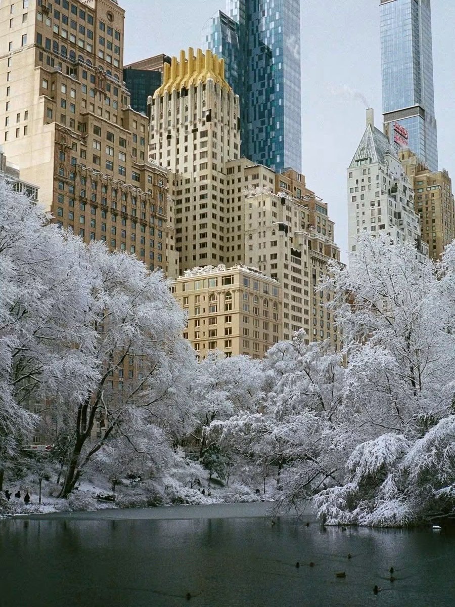 Central Park winter in New York