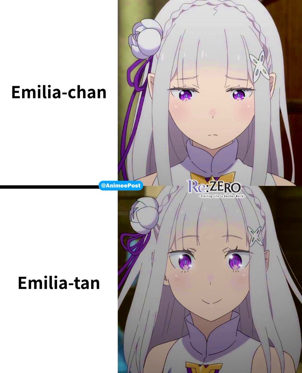 Emilia Re:Zero meme