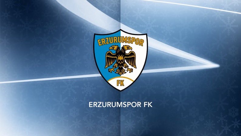 Erzurumspor FK logo statement