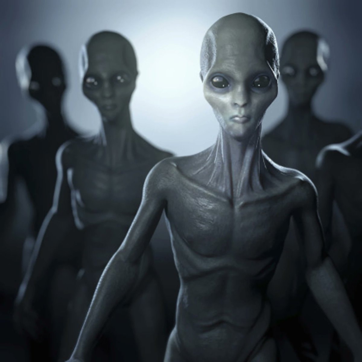 Alien Megastructures study