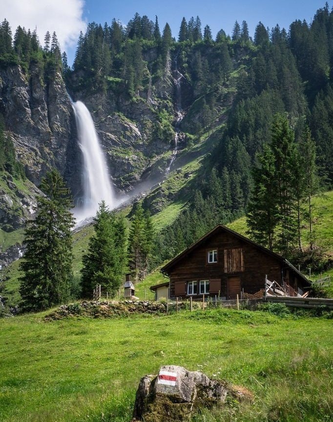Switzerland lone horse (photo 4 of 4)